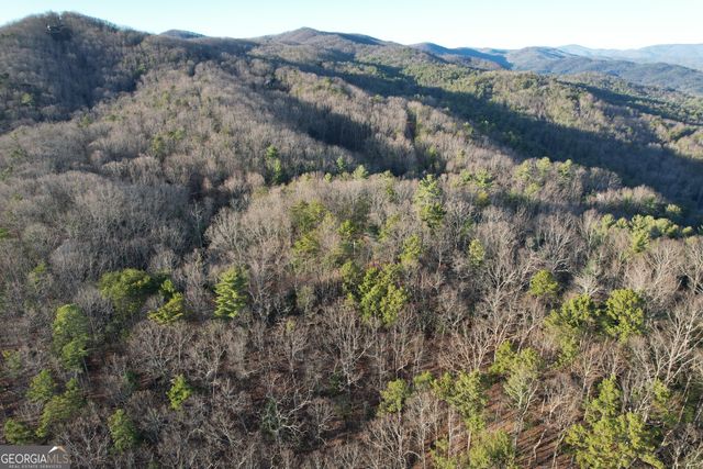 1487 Morton Drive, Ellijay, GA 30540