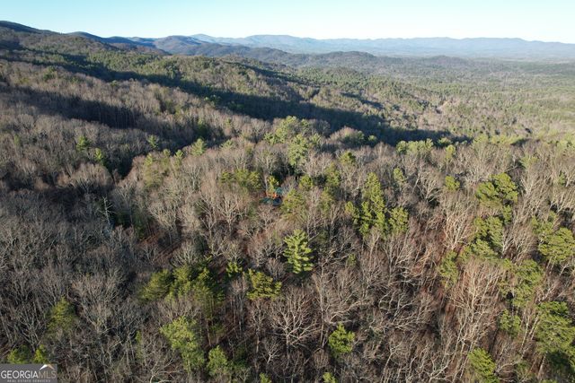1487 Morton Drive, Ellijay, GA 30540