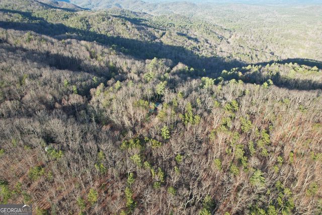 1487 Morton Drive, Ellijay, GA 30540