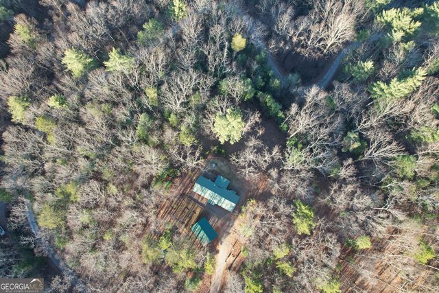 1487 Morton Drive, Ellijay, GA 30540