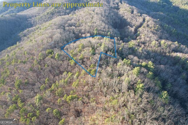 1487 Morton Drive, Ellijay, GA 30540