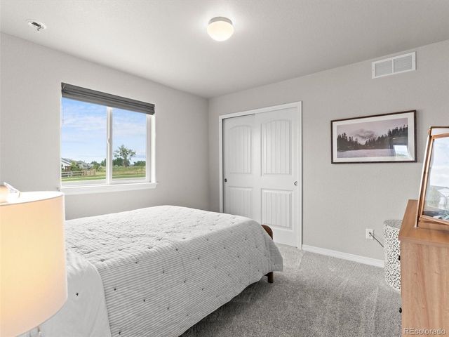 1242 Larimer Ridge Pkwy, Timnath, CO 80547