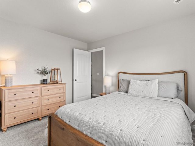 1242 Larimer Ridge Pkwy, Timnath, CO 80547