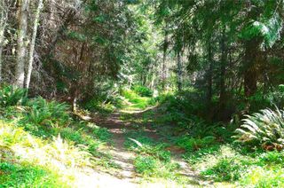 3 NKA Romans Rd. Drive, Port Townsend, WA 98368