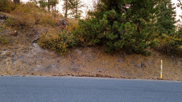 11204 S Jackson Rd, Mica, WA 99023