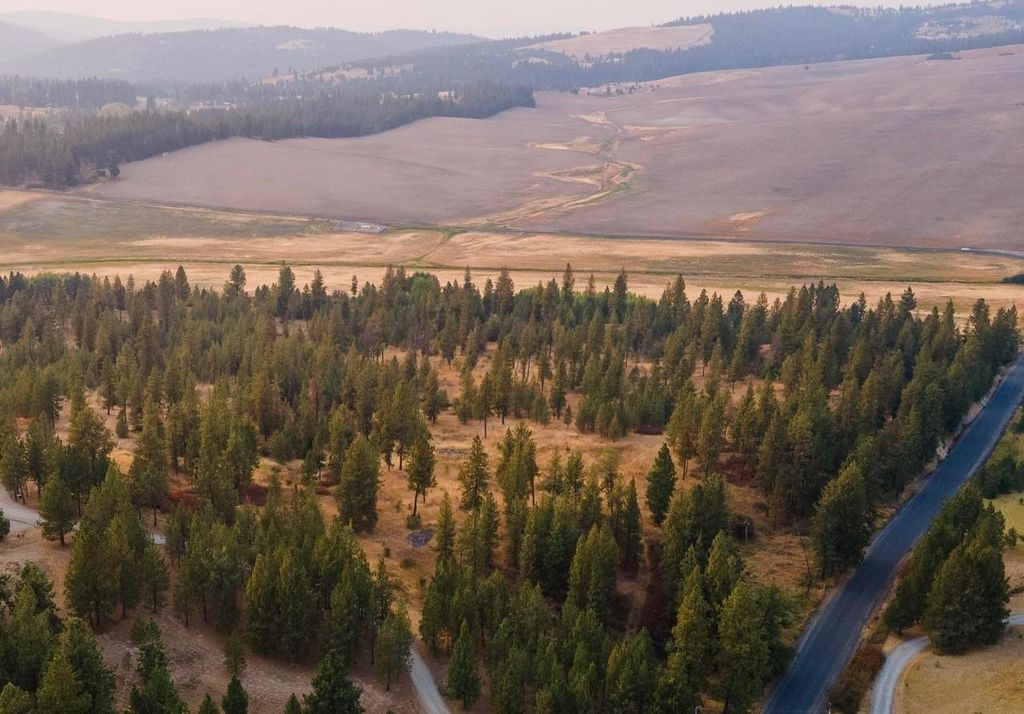 11204 S Jackson Rd, Mica, WA 99023