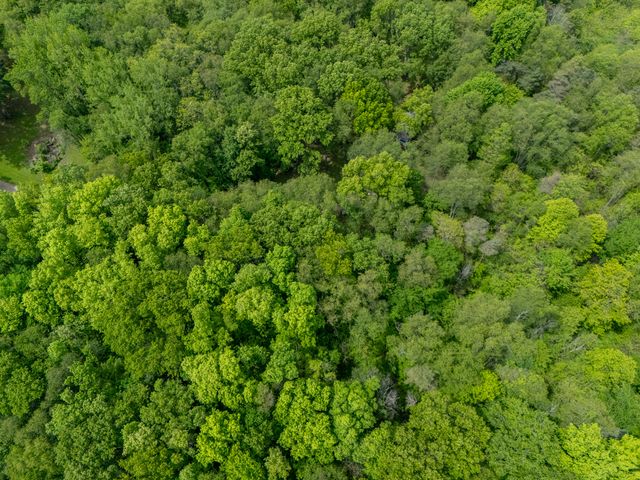 4511 Waldorf Road, Hope Twp, MI 49046