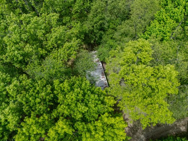 4511 Waldorf Road, Hope Twp, MI 49046