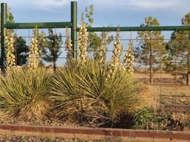 3660 Nm 41, Stanley, NM 87056