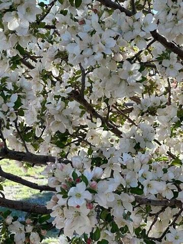 3660 Nm 41, Stanley, NM 87056