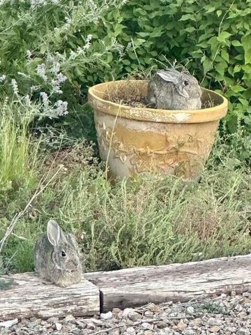 3660 Nm 41, Stanley, NM 87056