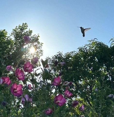 3660 Nm 41, Stanley, NM 87056