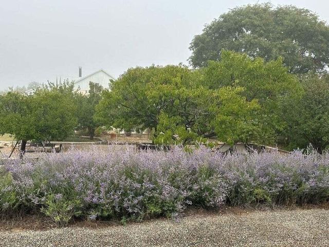 3660 Nm 41, Stanley, NM 87056