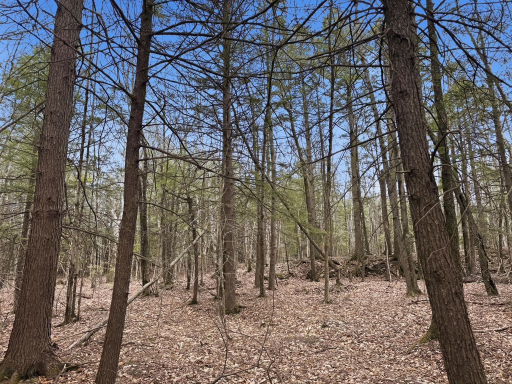 0 Old Portland Road, Brunswick, ME 04011 — photo 2