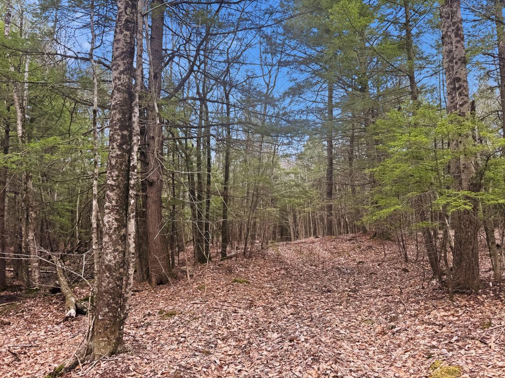 0 Old Portland Road, Brunswick, ME 04011 — photo 3