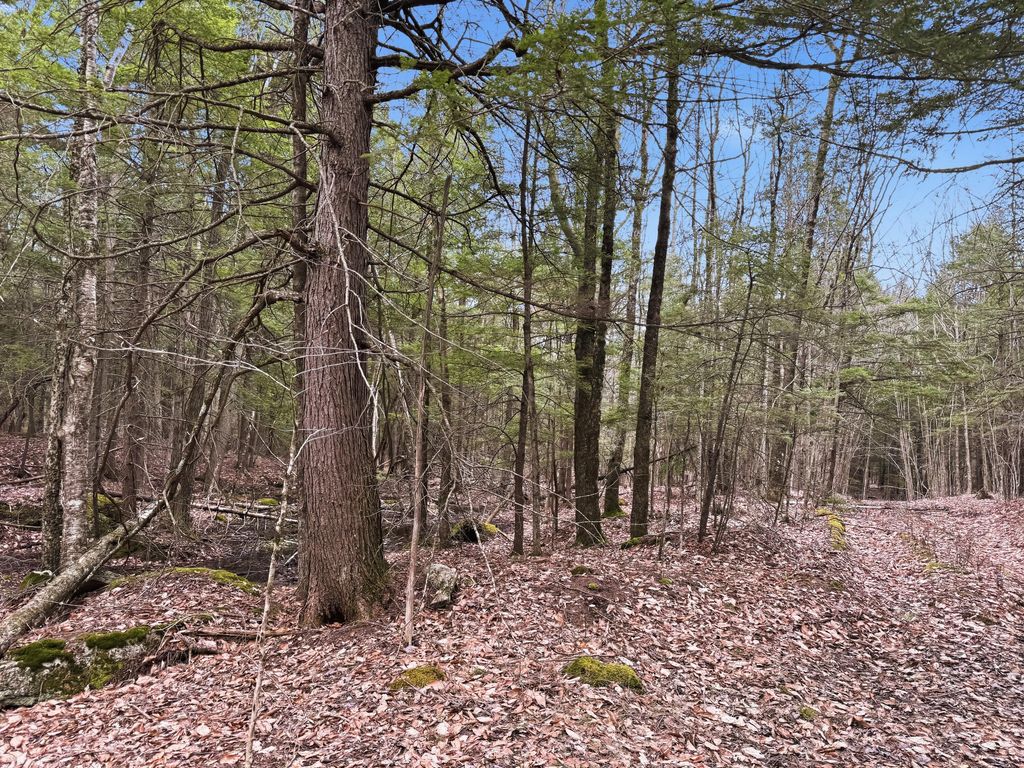 0 Old Portland Road, Brunswick, ME 04011 — photo 4