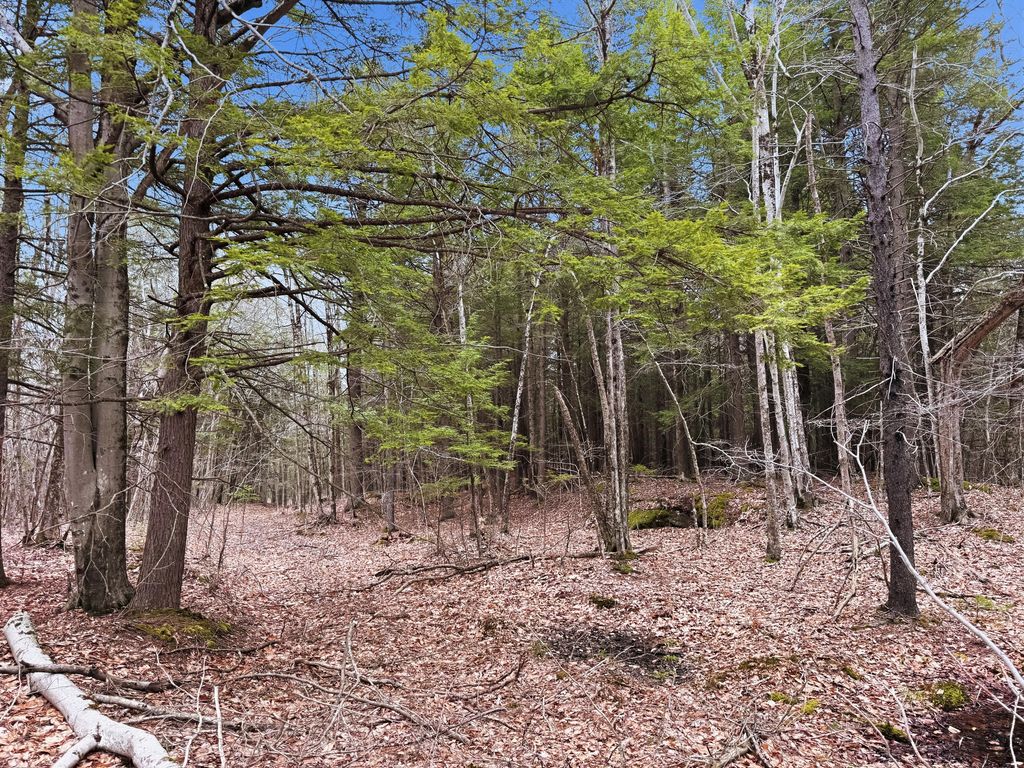 0 Old Portland Road, Brunswick, ME 04011 — photo 5