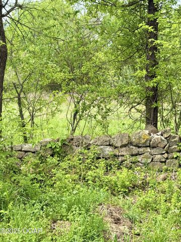 30+/- S. Oak Hill/Chapel Tract D, Carthage, MO 64836