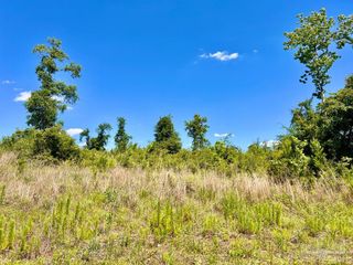 Lot 7-C Cotton Lake Rd, Molino, FL 32577