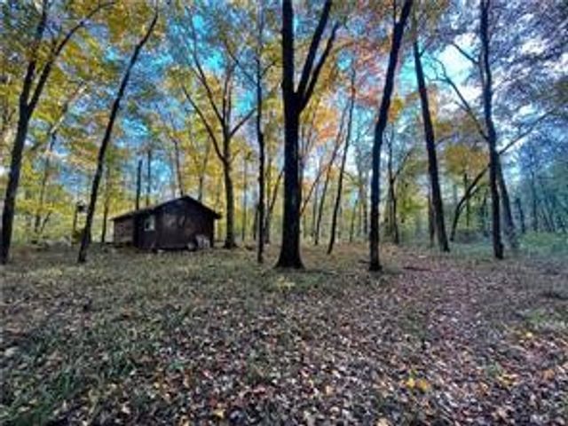 5176 CR 5099, Pettigrew, AR 72752