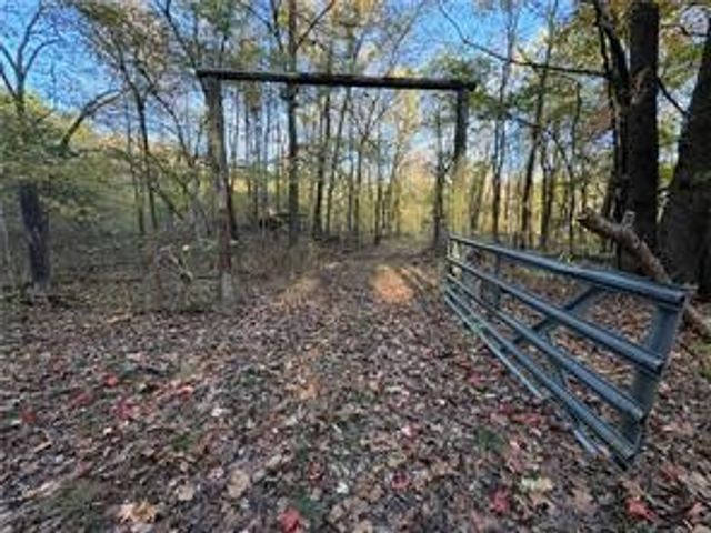 5176 CR 5099, Pettigrew, AR 72752