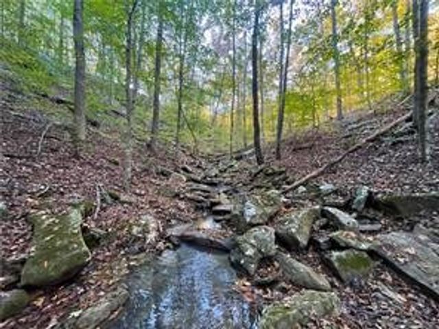 5176 CR 5099, Pettigrew, AR 72752