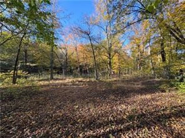 5176 CR 5099, Pettigrew, AR 72752