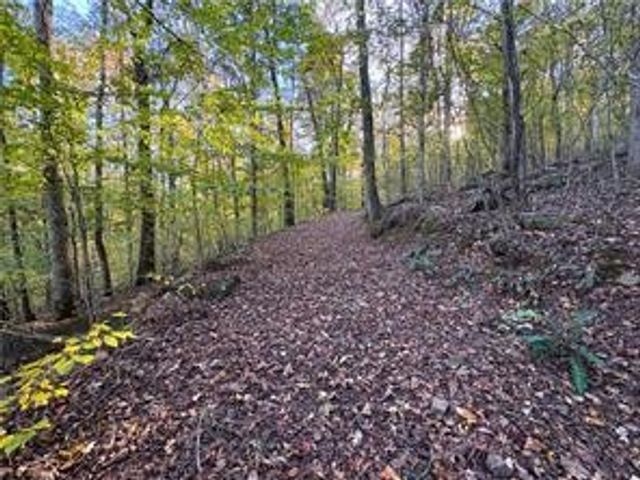 5176 CR 5099, Pettigrew, AR 72752