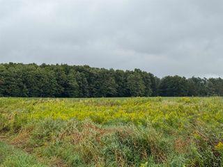 VL M55 Highway, Prescott, MI 48756