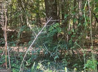 A-99 Possum Point Drive, Eatonton, GA 31024