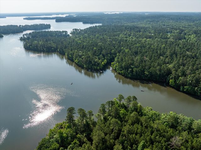 1036 Longleaf Way, Lincolnton, GA 30817