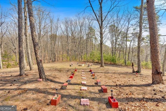 1430 Jasper Court NE, Ranger, GA 30734