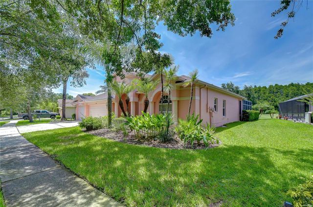 10560 PLANTATION BAY DRIVE, Tampa, FL 33647
