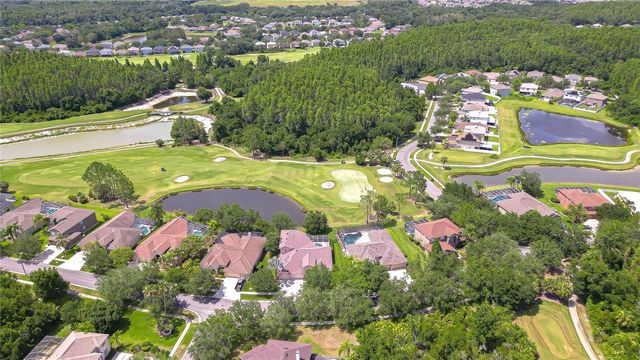 10560 PLANTATION BAY DRIVE, Tampa, FL 33647