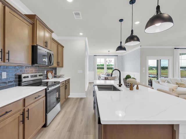 4220 Collins Farm Way, Conway, SC 29526