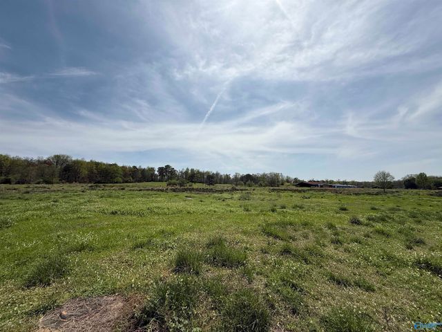 20.2 Acres Bluff Road, Boaz, AL 35956