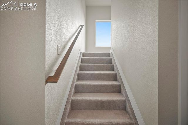 3052 Curly Grove, Colorado Springs, CO 80925