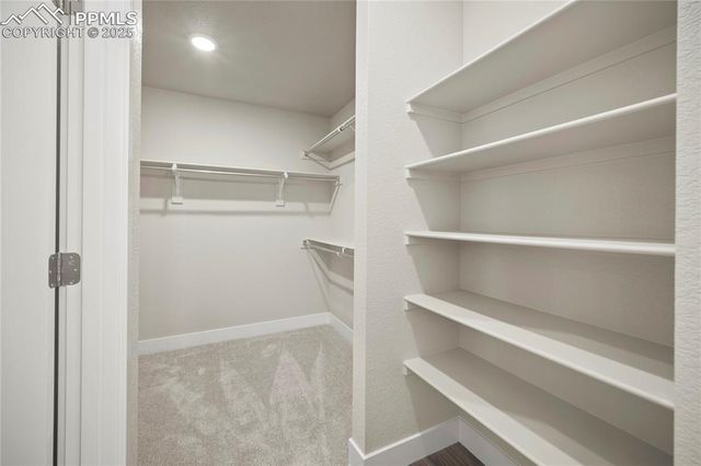 3052 Curly Grove, Colorado Springs, CO 80925