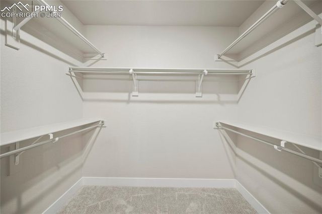 3052 Curly Grove, Colorado Springs, CO 80925