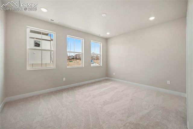 3052 Curly Grove, Colorado Springs, CO 80925