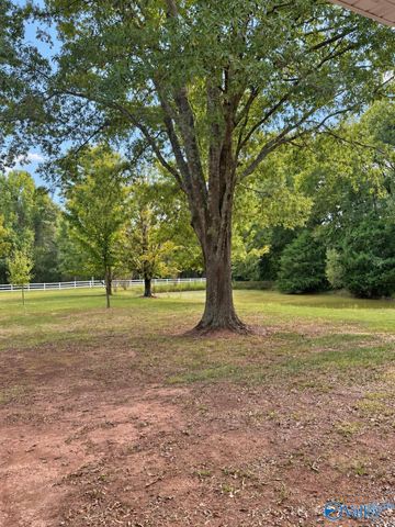 3811 County Road 92, Moulton, AL 35650
