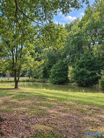 3811 County Road 92, Moulton, AL 35650