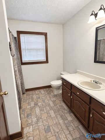 3811 County Road 92, Moulton, AL 35650