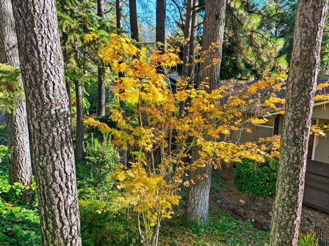 10959 Henson Way, Grass Valley, CA 95949