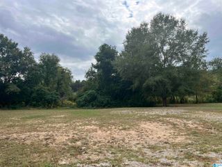 4308 COGSWELL AVENUE, Pell City, AL 35125