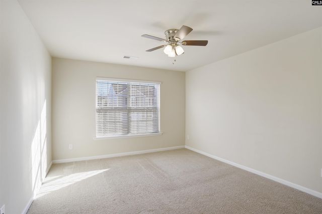 379 Explorer Drive, Chapin, SC 29036