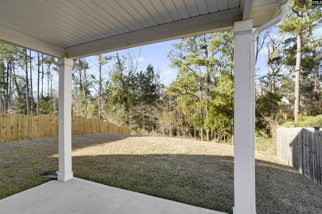 379 Explorer Drive, Chapin, SC 29036