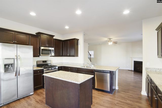 379 Explorer Drive, Chapin, SC 29036