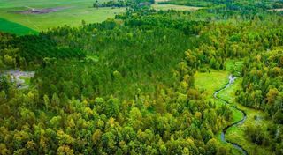 tbd Blackduck Lake Rd, Hines Twp, MN 56647