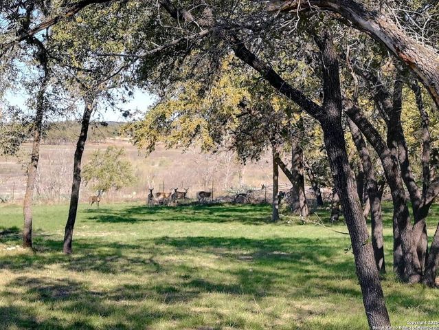 2106 Lakeshore, Canyon Lake, TX 78133